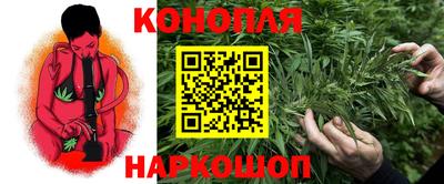 крисы Кулебаки
