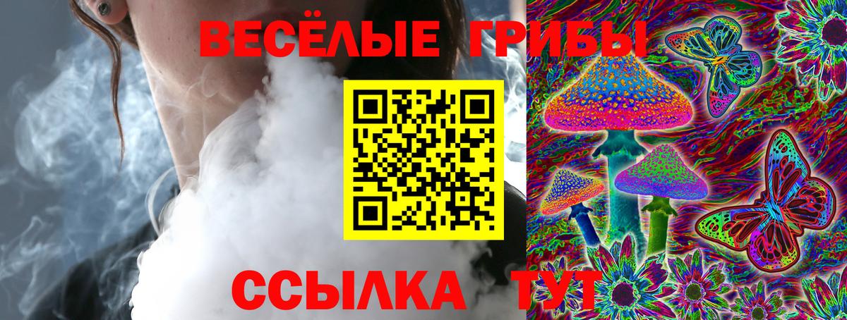 закладки  Галлюциногенные грибы мицелий  Псилоцибиновые грибы Psilocybe  Вход с VPN  Щёлково 