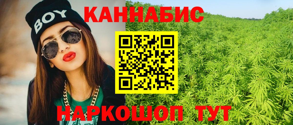 Бошки марихуана OG Kush Щёлково